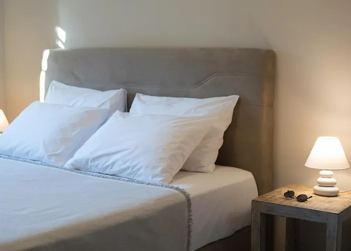 Apartament Anemy